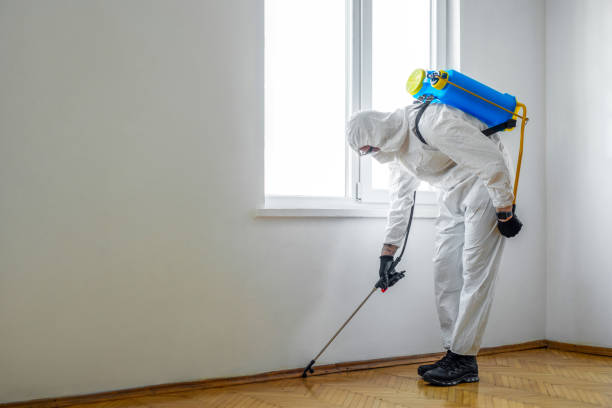 Professional Pest Control in Millersburg, OH